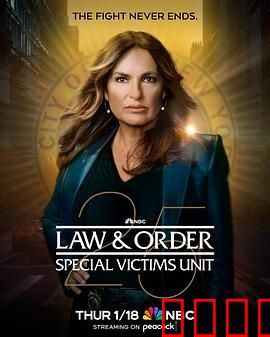 法律与秩序：特殊受害者 第二十五季